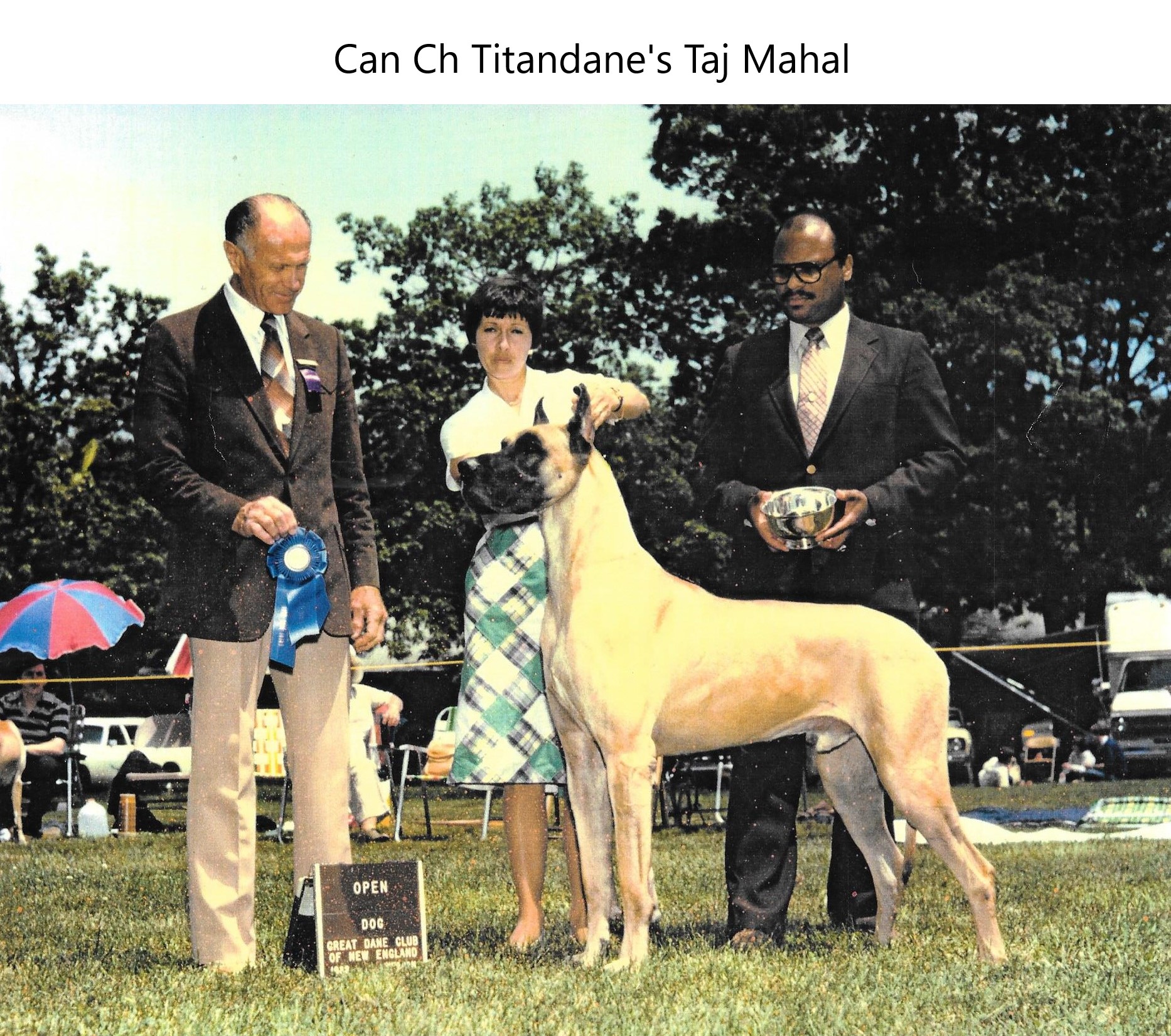 Titandanes Taj Mahal